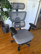 FlexiSpot C7 Max - Office Chair w/ Footrest & 5D armrests. Just assembled picture