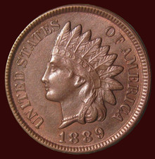 1889 Indian Head Cent - Solid MS+ Red/Brown - Beautiful -  picture