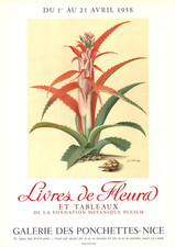 GEORG DIONYSIUS EHRET Flower Books and Paintings from the Plesch Botanical Found picture