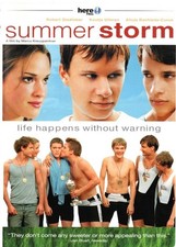 Summer Storm DVD, 2004 / Gay Interest / LGBTQ+ / 