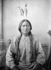 1885 Art Print Sitting Bull Lakota Tatanka Iyotake Sioux Native American Decor picture