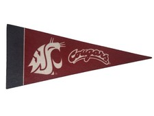 Washington State Cougars Mini Pennant 4”x9