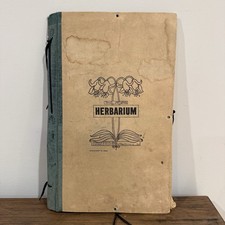 Antique 1936 Herbarium 47 Pressed Wildflowers Fern Handwritten Botany Album READ picture