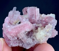 Bi Colour Tourmaline Crystal Bunch From Afghanistan 147 Carat picture