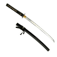 Geometric Wakizashi Iaito Unsharpened Training Sword Aluminum Alloy picture
