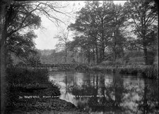 ANTIQUE GLASS NEGATIVE OF THE RIVER COLNE,  CASSIOBURY PARK , WATFORD c1918 picture