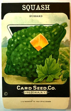Vintage Seed Packet Hubbard Squash c1920-30 NOS Made in Fredonia A3 picture