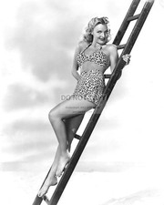 ACTRESS LYNN MERRICK PIN UP - 8X10 PUBLICITY PHOTO (AB-134) picture