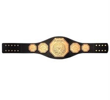 AAA Mega Championship Lucha Libre Wrestling Title Belt replica picture