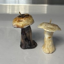 2 Vintage Mushroom candles ( x2) UNSCENTED, CANDLES, FUNGI, NATURE ENTHUSIAST picture