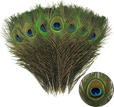 THARAHT 12pcs Peacock Feather Natural in Bulk 10-12Inch-Big Eyes-12PCS, Green picture