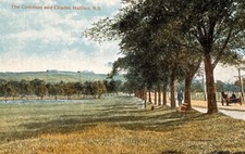 Postcard Canada  Halifax Nova Scotia the Commons and Citadel Divided Back picture