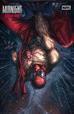 Midnight Spider-Man #1 Quah LeapsLair Shared Exclusive LTD 800 PREORDER 10/7 picture