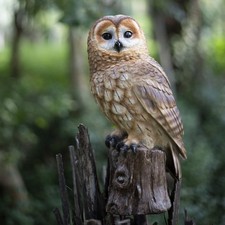 SoReal Brown Owl on branch | Handcrafted Decorative Bird Statue picture