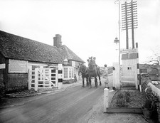 The toll is taken from a farmer his team of two shire plough horse- Old Photo picture