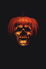HALLOWEEN 2 Movie Poster RARE Horror Michael Myers  picture