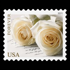2011 White Wedding Roses 100-stamp set Creative stamp collectibles picture