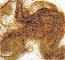 WOOLLY MAMMOTH REAL FUR HAIR WOOLY PERMAFROST RUSSIAN WOOL MASTODON RARE EXTINCT picture