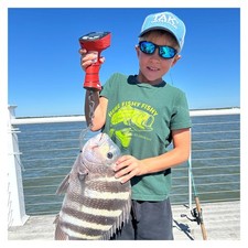 St. Croix AVID INSHORE SERIES SPINNING - Choose Model picture