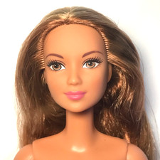 Nude Barbie 2016 Career Zoo Doctor Hispanic Latina Kayla Red Hair DVG11 Doll picture