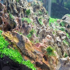 Dragon Stone (Ohko Stone) / Planted Aquarium / Decoration / Hardscape 10 Lbs Box picture