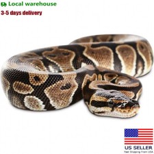 Garden Realistic Snake Lifelike Scary Prank Toy Joke Party Prop picture