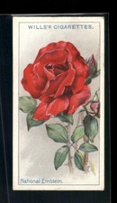1926 Wills's Roses #44 National Emblem picture