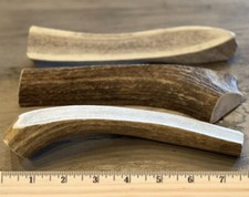 LARGE SPLIT ELK ANTLER Premium Dog Chew 7”+ (1pc) **OREGON ANTLER WORKS** picture