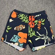 Roark Guide Works Board Shorts Mens Large Blue Chino Six Inch Inseam Drawstring picture