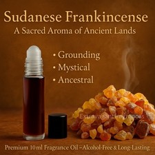 Sudanese Frankincense Body Oil - 4 Lbs Wholesale  Nationwide picture