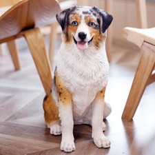 SoReal Brown Australian shepherd Decorative Puppy Figurine picture