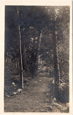 Beautiful Rustic Forest Pathway Trees & Dirt Road 1910s RPPC Postcard Photo picture