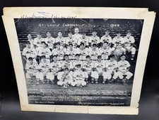 Vintage 1944 St Louis Cardinals World Series Champions Team Photo Stan Musial picture