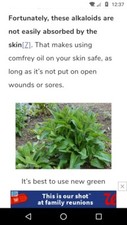 organic comfrey healing salve guaranteed picture