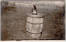 c1909 Child in Barrel Native Headdress RPPC Postcard Whimsical Fun Vintage picture