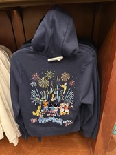 (All Sizes) Disneyland Resort 2026 Most Magical Day Embroidered Full Zip Hoodie picture