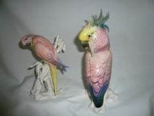 STUNNING KARL ENS PINK BLUE YELLOW BUDGERIGAR & COCKATOO BRILLIANT COLORS picture
