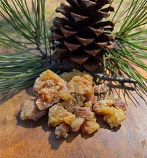 Ponderosa Pine Resin Sap Handpicked PNW Oregon 2oz 4oz 6oz 16oz 100% Natural picture
