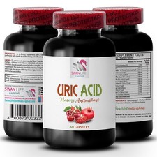 Daily Pleasure - URIC ACID COMPLEX - Milk Thistle 1 Bottle 60 Capsules picture