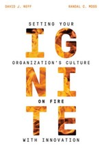 IGNITE: Setting your Organization's Culture on Fire with Innovation - GOOD picture