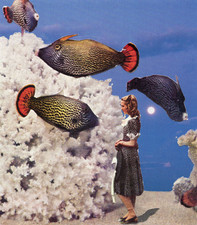OOAK Original Collage Art Handmade Surreal Vintage Fish Girl Mixed Media 4 x 4.5 picture