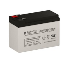 Raion Power RG1270T2 12 Volt 7.5 Amp Hour T2 Battery (Replacement) picture