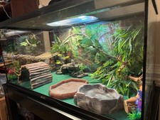 10Pcs Bearded Dragon Tank Accessories, Reptile Hammock Plants Bridge Jungle Clim picture