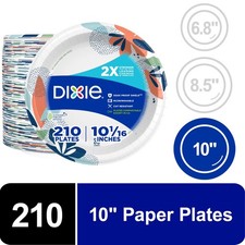 Dixie Everyday Disposable Paper Plates, 10