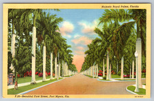 c1940s Fort Myers FL Beautiful First St Majestic Royal Palms Linen Postcard picture