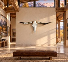 Genuine Longhorn Skull 52” Wide Sweeping Horns Rustic Mountain Ranch Decor picture