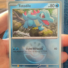 Totodile Basic Water Pokemon Card TCG HP80 English Standard Size picture