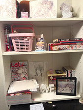 Entire Vampire Knight collection imported from Japan picture