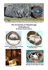 The Formation of Thundereggs (Lithophysae) picture