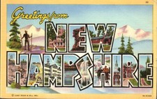 Greetings from New Hampshire Large Letter Linen Postcard Curt Teich 1949 picture